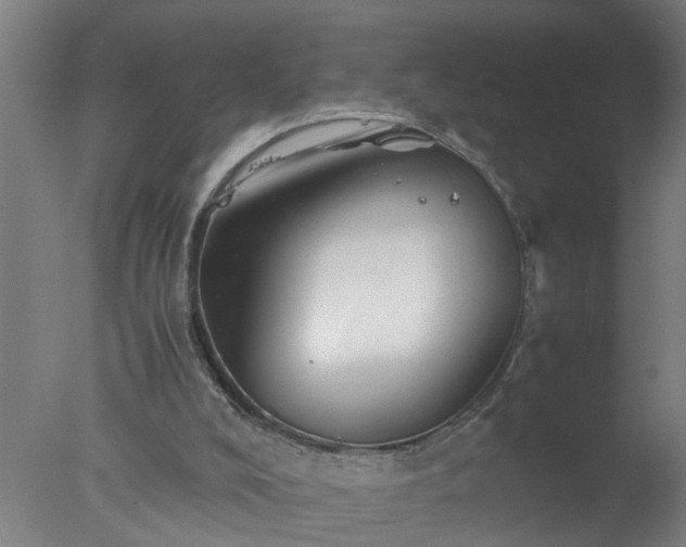 X0000077390008200610272025