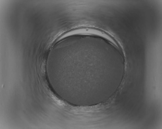 X0000077390009200610272025