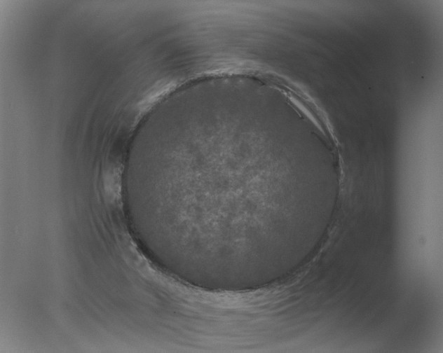 X0000077390010200610272025