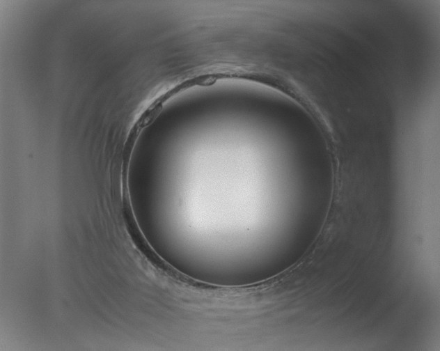 X0000077390011200610272025