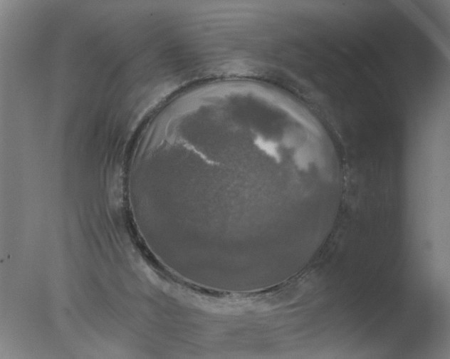 X0000077390012200610272025