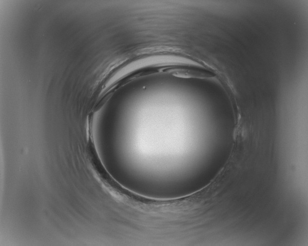 X0000077390013200610272025