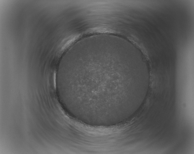 X0000077390014200610272025