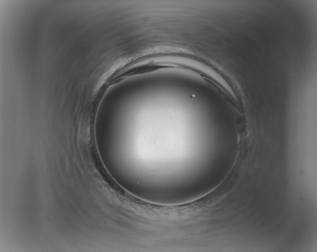 X0000077390015200610272025