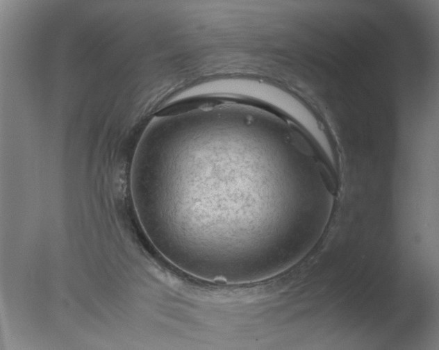 X0000077390017200610272024