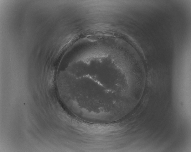 X0000077390018200610272024