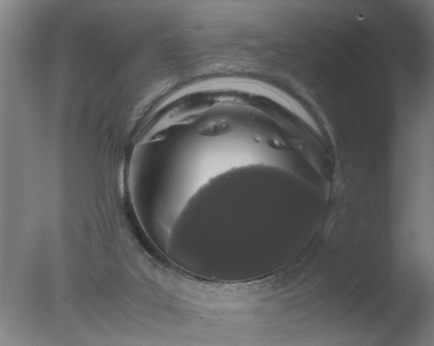 X0000077390019200610272024