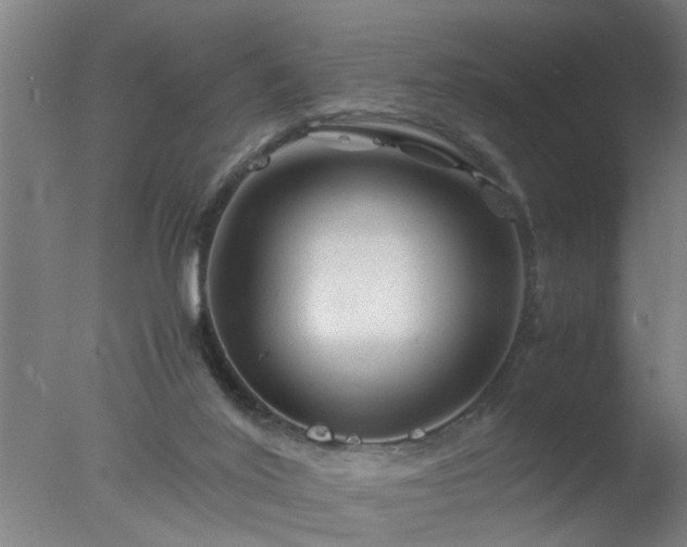 X0000077390020200610272024