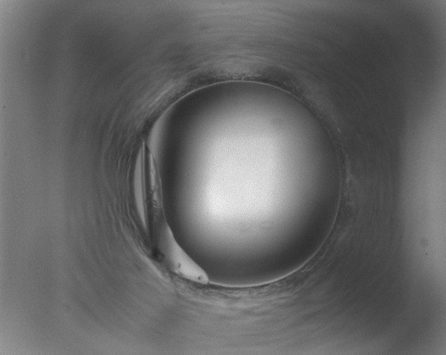 X0000077390021200610272024