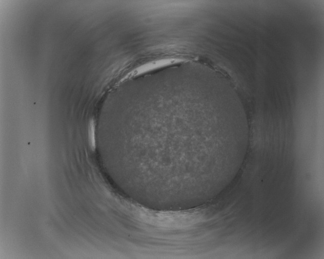 X0000077390022200610272024