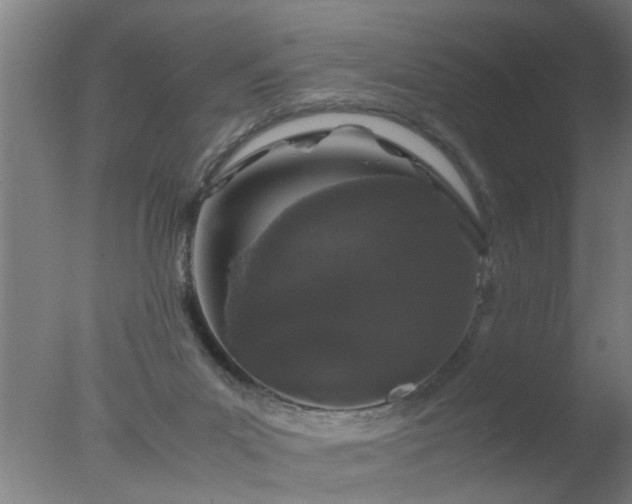 X0000077390023200610272024