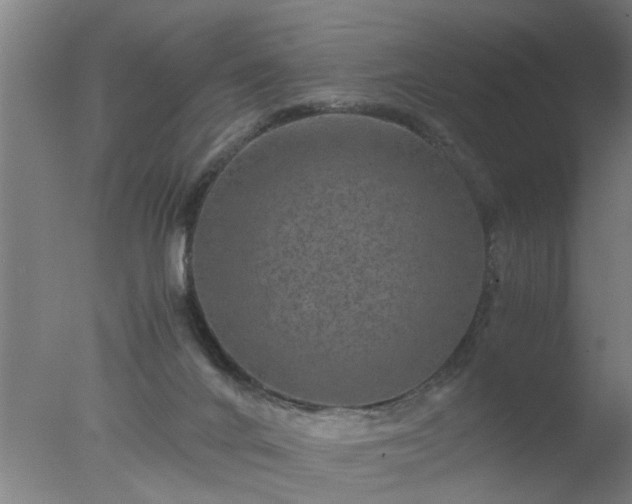 X0000077390024200610272024