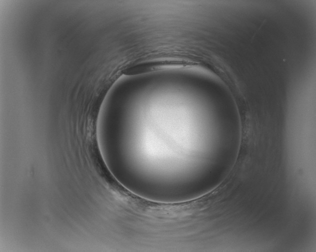 X0000077390025200610272024