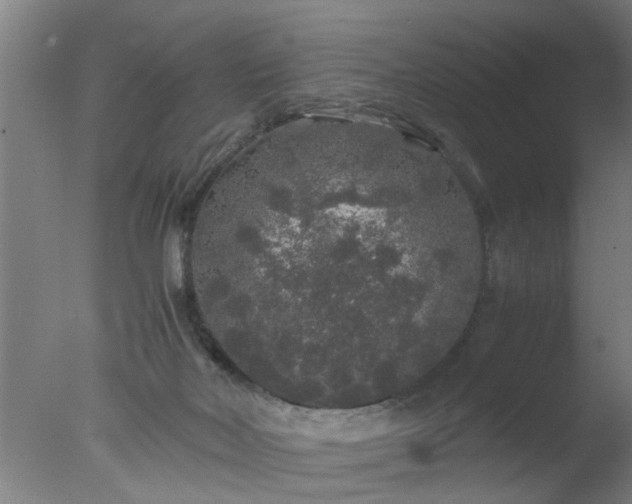 X0000077390026200610272024