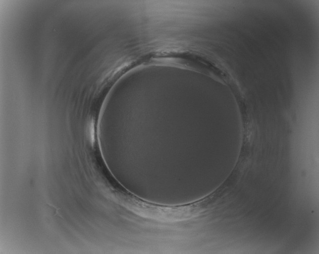 X0000077390027200610272024