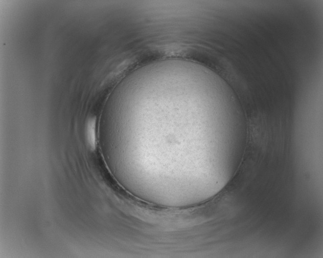 X0000077390028200610272024