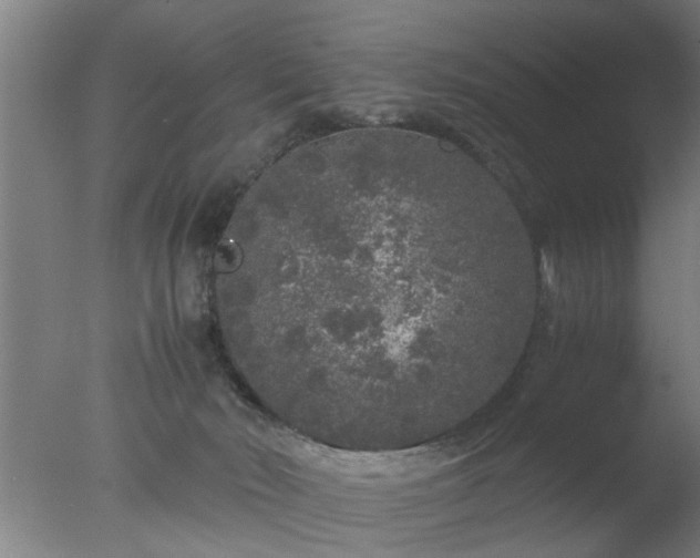 X0000077390030200610272024