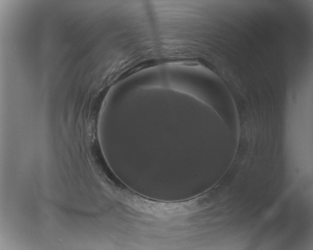 X0000077390031200610272024