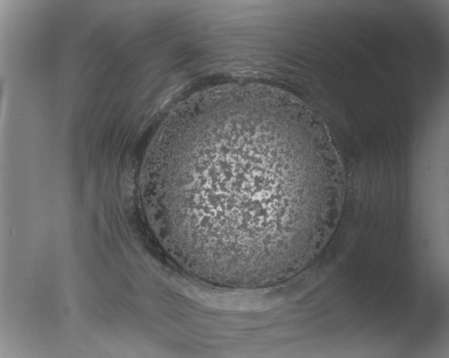 X0000077390032200610272024