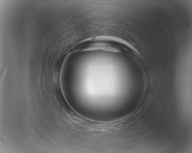 X0000077390033200610272024