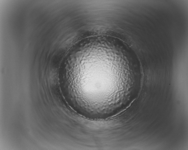 X0000077390034200610272024