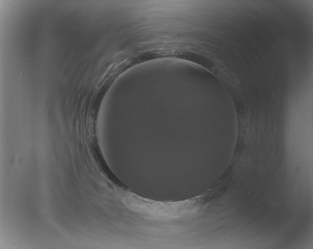 X0000077390035200610272024