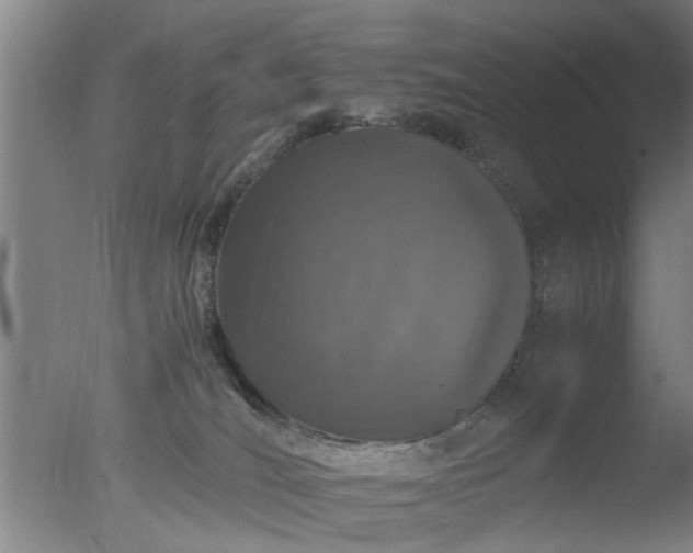 X0000077390036200610272024