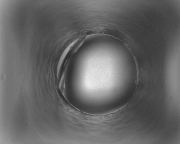 X0000077390037200610272024