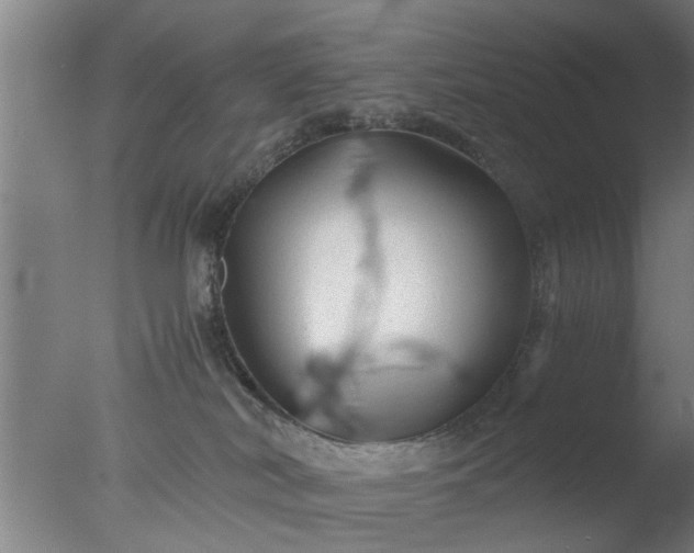 X0000077390038200610272024