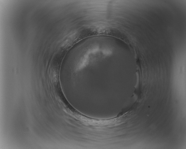 X0000077390039200610272024