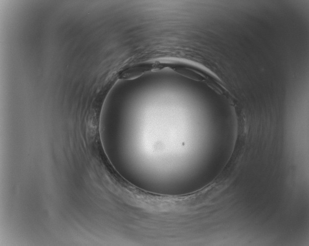 X0000077390040200610272024