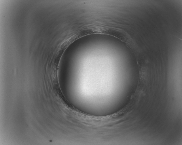 X0000077390043200610272024