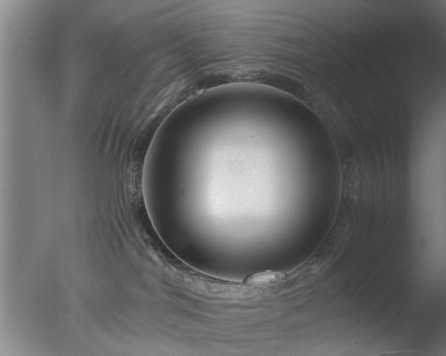 X0000077390044200610272024