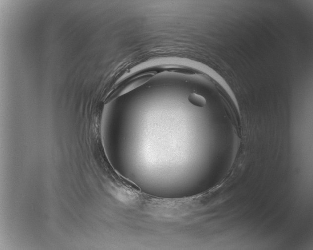 X0000077390045200610272024