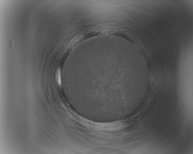 X0000077390046200610272024