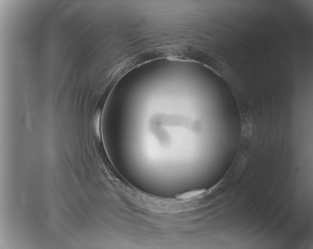 X0000077390047200610272024