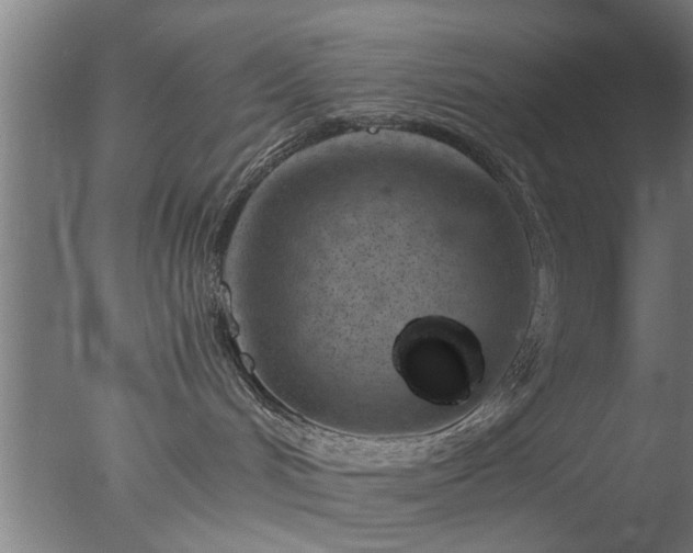 X0000077390048200610272024