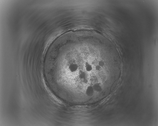 X0000077390049200610272023