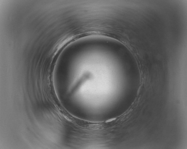 X0000077390050200610272023