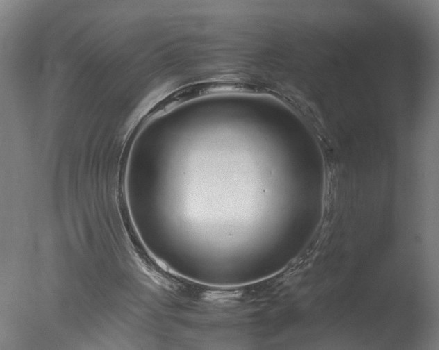 X0000077390051200610272023