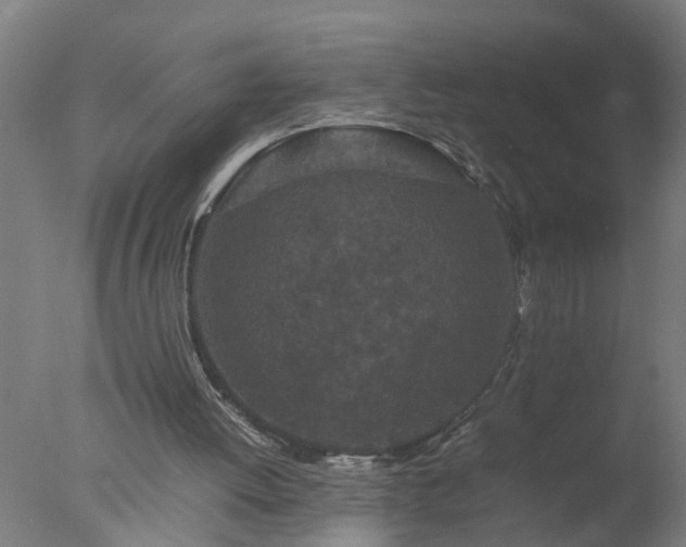 X0000077390052200610272023