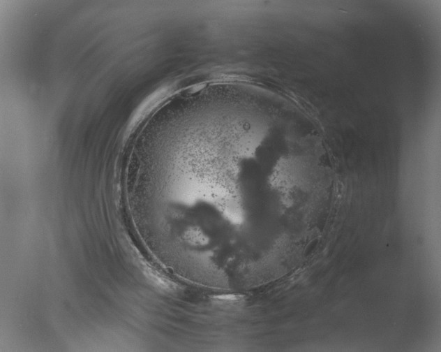 X0000077390053200610272023