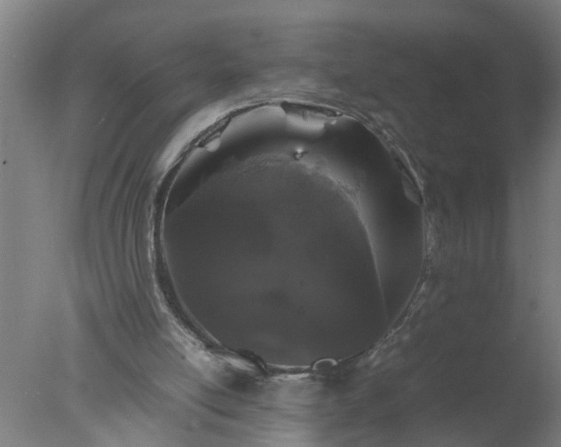 X0000077390054200610272023