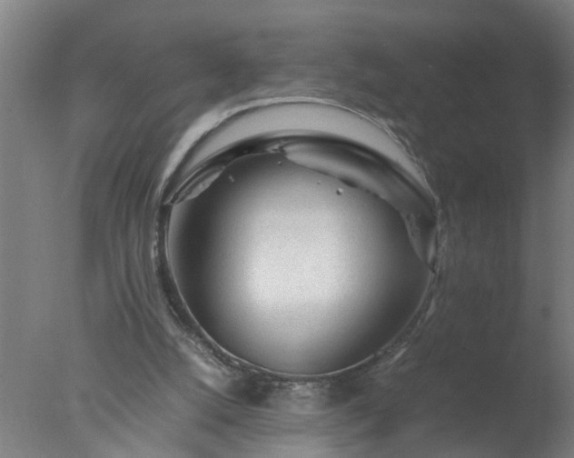 X0000077390056200610272023