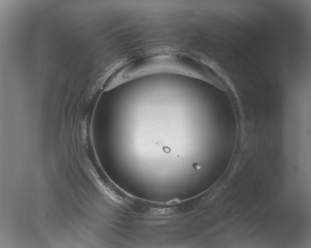 X0000077390057200610272023