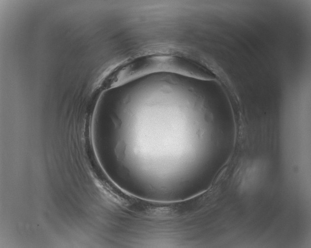 X0000077390058200610272023