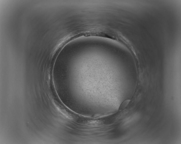 X0000077390059200610272023