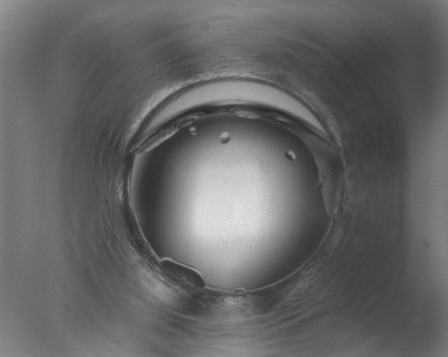 X0000077390060200610272023