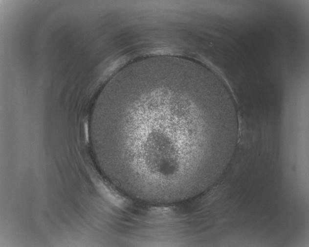 X0000077390061200610272023