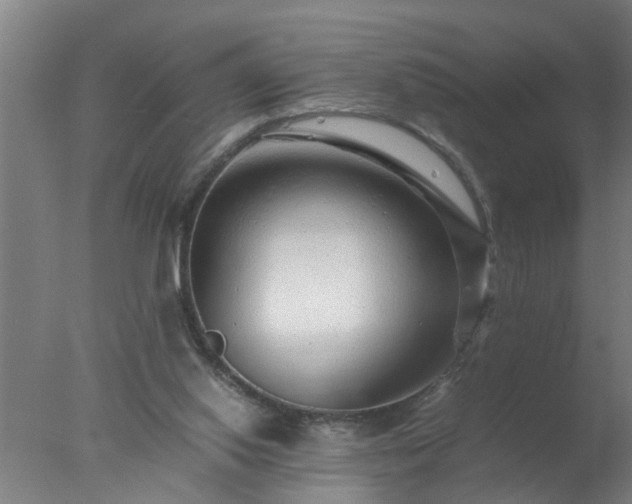 X0000077390062200610272023